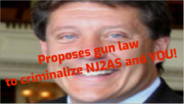 NJ proposes law to criminalize NJ2AS and YOU!